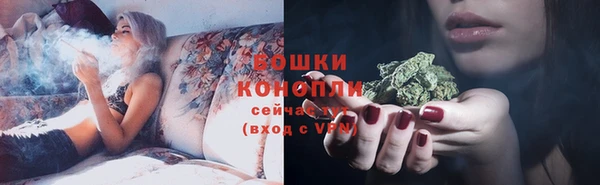 PSILOCYBIN Протвино