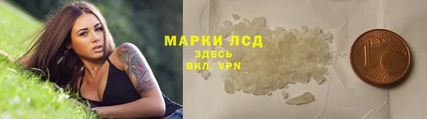 ПСИЛОЦИБИНОВЫЕ ГРИБЫ Приозерск