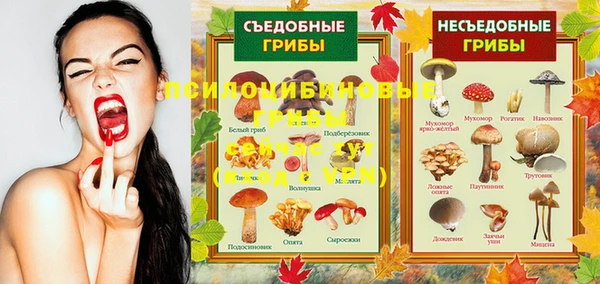 PSILOCYBIN Протвино