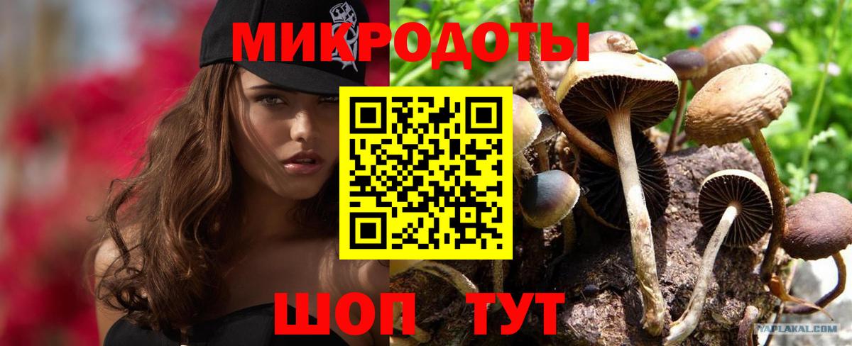 Скопин  Псилоцибиновые грибы мухоморы  Вход с VPN 