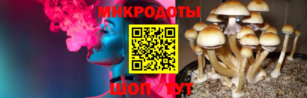 Псилоцибиновые грибы MAGIC MUSHROOMS Скопин